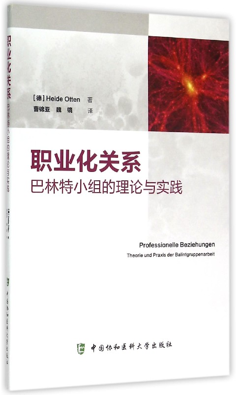 职业化关系 (德)海德·奥登(Heide Otten) 著 正版书籍  中国协和医科大学出版社