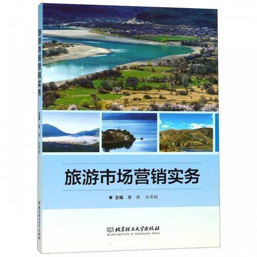 旅游市场营销实务