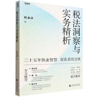 税法洞察与实务精析