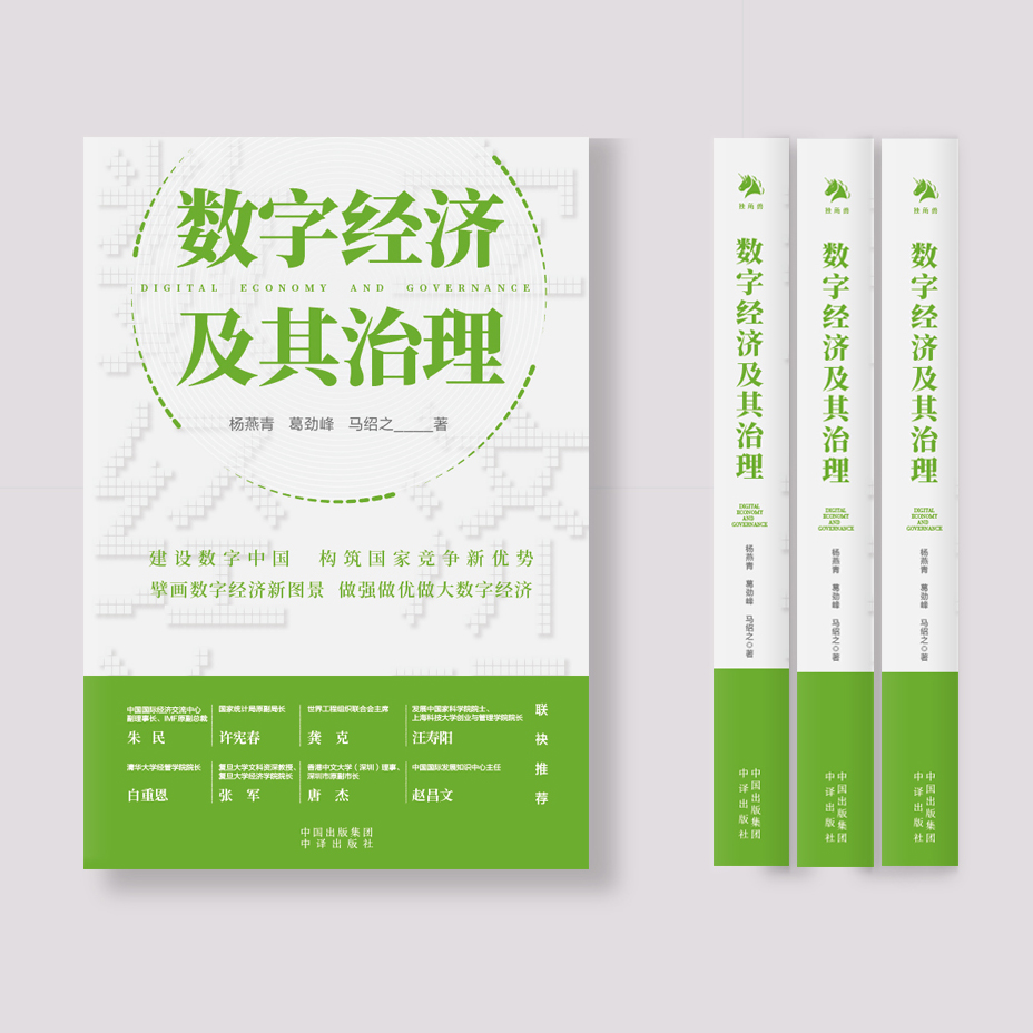 《数字经济及其治理》数字经济治理的关键议题也是本书的重要内容，无论是网络安全、数据治理、数