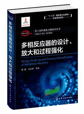 多相反应器的设计放大和过程强化(精)/化工过程强化关键技术丛书