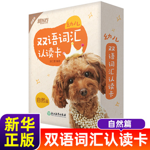 新东方 幼儿双语词汇认读卡:生活篇常识篇自然篇 双语词汇认读学前英语启蒙入学准备英语书籍 英语小卡片认识大世界看图识字学英文