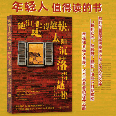 他们走得越快，太阳沉落得越快 年轻人值得读的书 帮孤独者确认自我 SBTI思考者的探寻之路