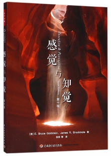 感觉与知觉(第10版)