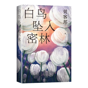 【赠飘银书签】白鸟坠入密林 贝客邦新书 消失的孩子原著 海葵小说作者 一桩0恶人少女失踪案 国产侦探悬疑推理 小说畅销书排行榜