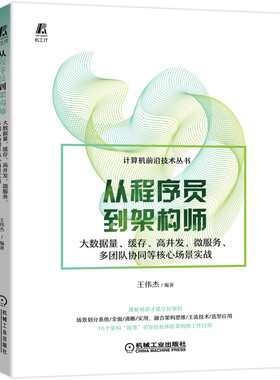 从程序员到架构师 大数据量 缓存 高并发 微服务 多团队协同等核心场景实战 王伟杰  MQ  HBase  flink MyS