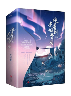 他看到光的背面(上下)