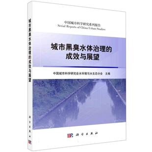 城市黑臭水体治理 成效与展望