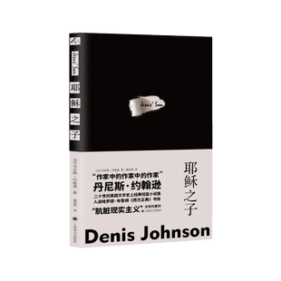 耶稣之子 丹尼斯约翰逊 二十世纪美国经典短篇小说 同名电影原著小说 外国文学 上海译文出版社 新华书店正版 仙女的馈赠/火车梦