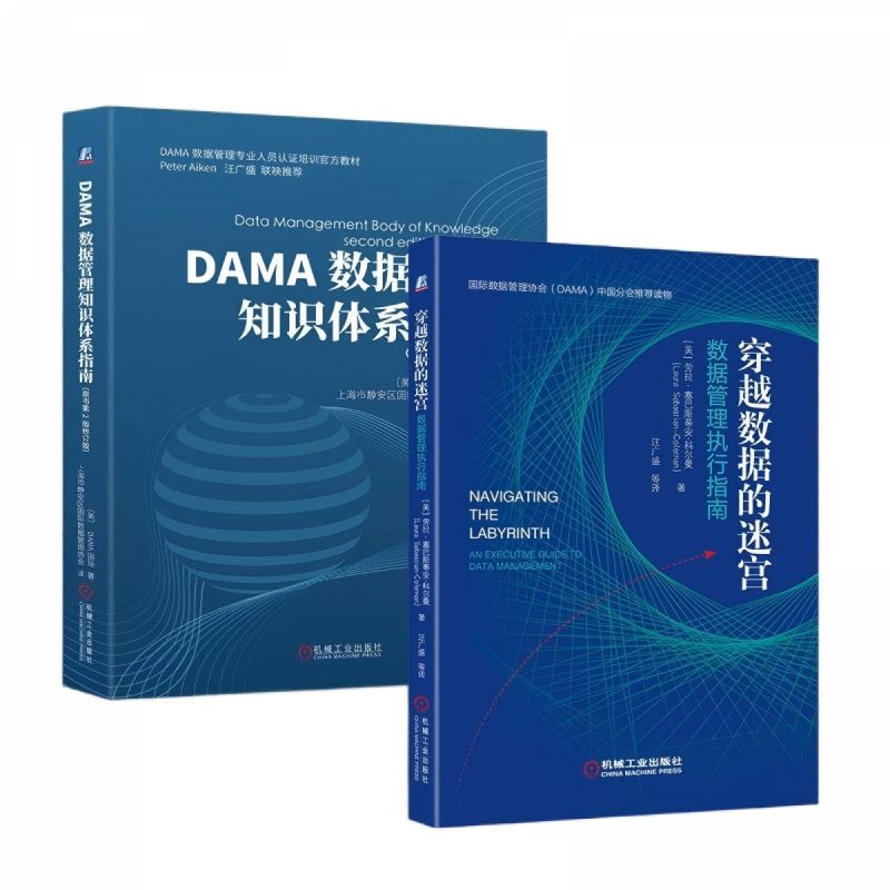 DAMA数据管理知识体系指南(原书第2版修订版)+ 穿越数据的迷宫