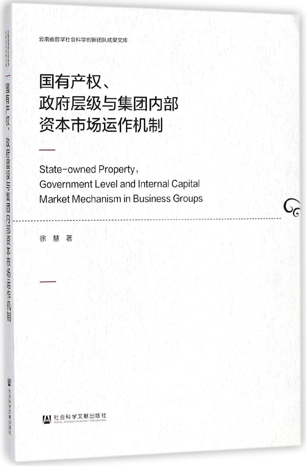 国有产权政府层级与集团内部资本市场运作机制徐慧著著作市场营销销售书籍网络营销管理正版图书