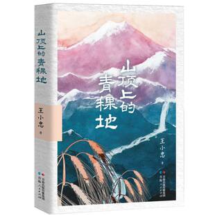 山顶上的青稞地