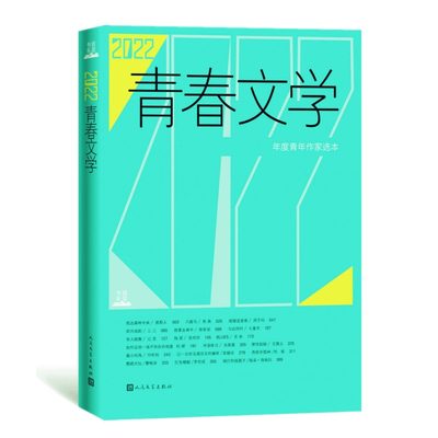 2022青春文学/“岩层”书系