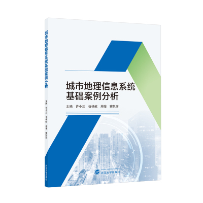 城市地理信息系统基础案例分析