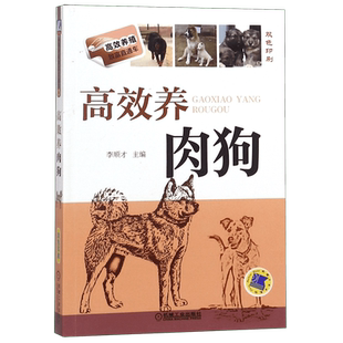 高效养肉狗 李顺才 养殖 狗  高效养殖致富直通车