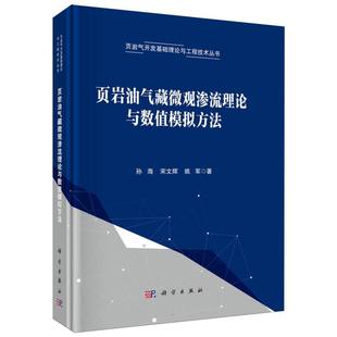 页岩气开发基础理论与工程技术丛书 页岩油气藏微观渗流理论与数值模拟方法