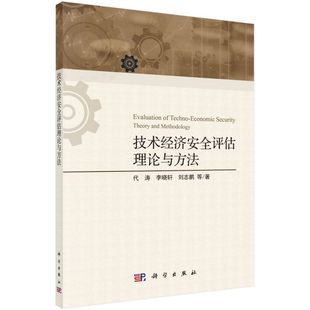 技术经济安全评估理论与方法