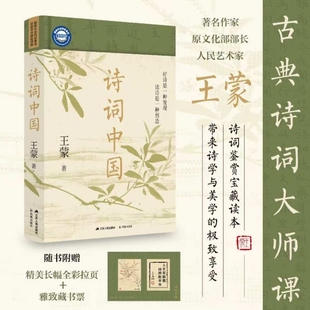 【赠长幅拉页+藏书票】诗词中国 王蒙的古典诗词大师课 诗词鉴赏宝藏读本 随笔小说书 现当代文学中国古诗词畅销书籍排行榜
