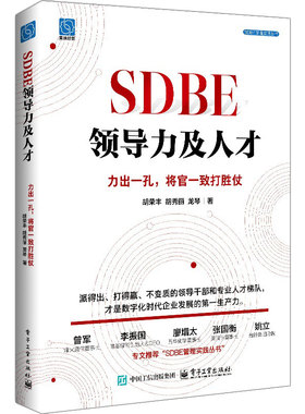 SDBE领导力及人才：力出一孔将官一致打胜仗 领导干部和专业人才梯队 领导力是企业战略落地的关键因素 领导力和数字化转型书籍