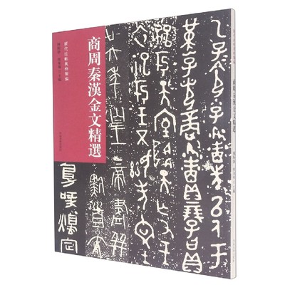 历代法帖风格类编 商周秦汉金文精选