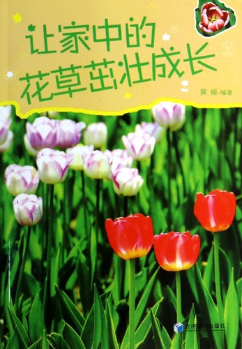 让家中的花草茁壮成长 生活 正版书籍 木垛图书