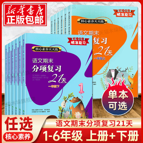 核心素养天天练语文期末分项复习