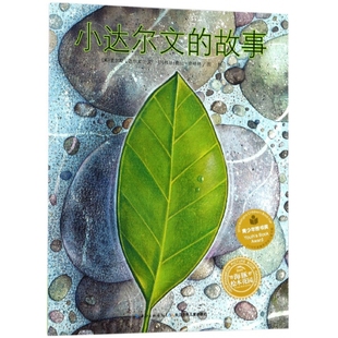 让孩子跟随达尔文 脚步 感受大自然 故事 魅力 儿童亲近体验自然世界绘本 海豚绘本花园 世界 小达尔文 走进自然和科学
