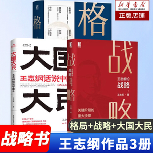 【套装3册】格局+王志纲论战略:关键阶段的重大抉择+大国大民 小道理服从大道理 王志纲话说中国人 新华书店 正版书籍