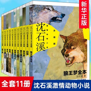 沈石溪动物小说全套11册狼王梦全本白狼狼世界黑天鹅紫水晶白天鹅红珊瑚神奇 警犬老象恩仇记 板子猴三四五六年级小学生课外书