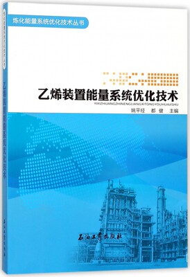 乙烯装置能量系统优化技术/炼化能量系统优化技术丛书