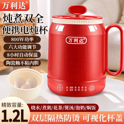 多功能电煮杯宿舍办公室养生杯