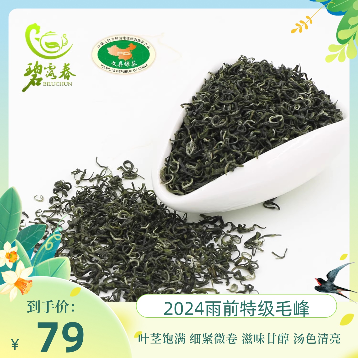 日照绿茶高山特级毛尖250g新茶