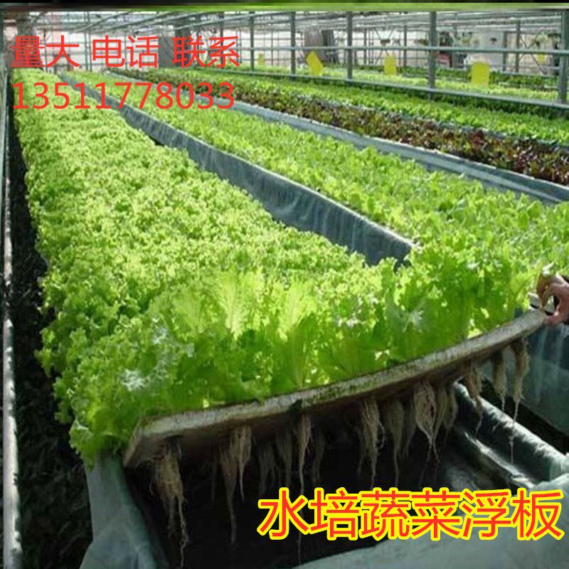 水上种植浮床漂浮板水培蔬菜定植板无土栽培设备水耕种菜带孔种植