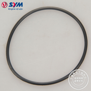 SYM 厦杏 三阳机车 DRG158 黑曼巴 机油泵盖密封圈