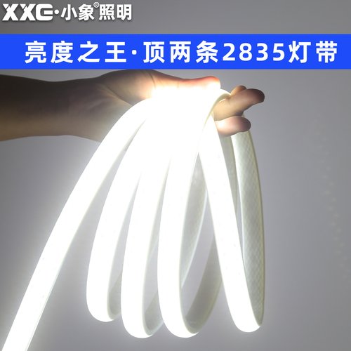 小象超巨亮220V户外防水三排灯带