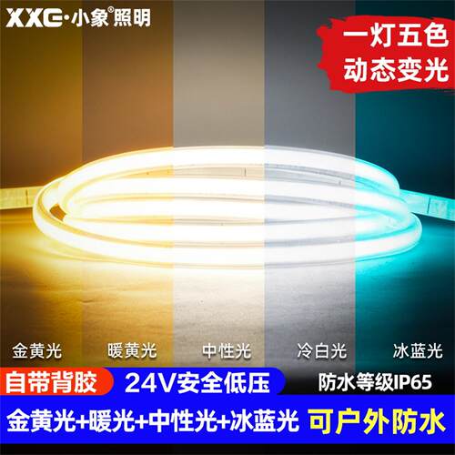COB自粘24V低压五色变光灯带