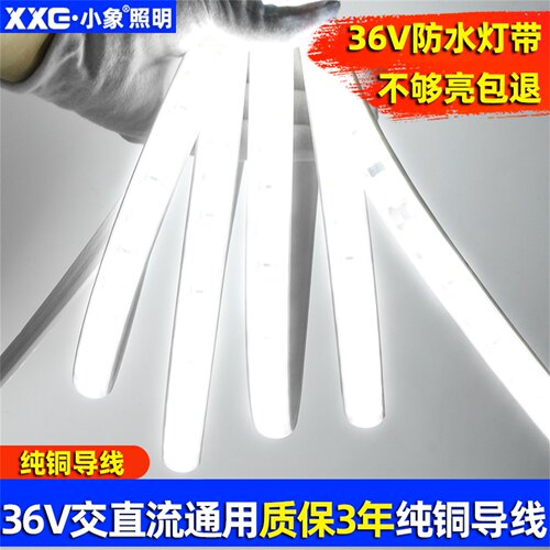 36V超亮LED低压防水灯带