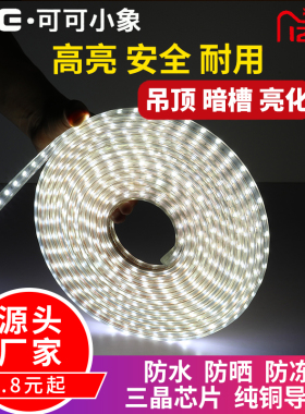 小象LED灯带5050防水60D超高亮七彩色客厅软光带线条灯条220V贴片