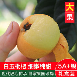 现货新鲜正宗白玉枇杷鲜果当季现摘象山白沙枇杷琵琶大果顺丰包邮