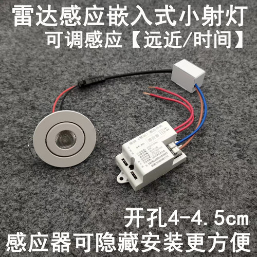 雷达人体感应迷你小射灯1W开孔45mm嵌入式入户门玄关过道走廊夜灯