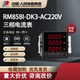 中国人民电器三相电流表RM858I DK3电子智能仪器仪表