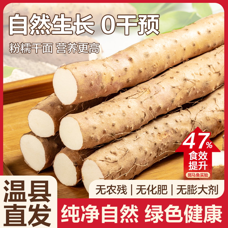 正宗温县铁棍山药河南焦作垆土新鲜淮山药垆土怀山药官方旗舰店