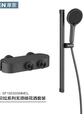 摩恩枪灰色花洒套装19232卫生间花洒淋浴喷头套装家用增压淋浴