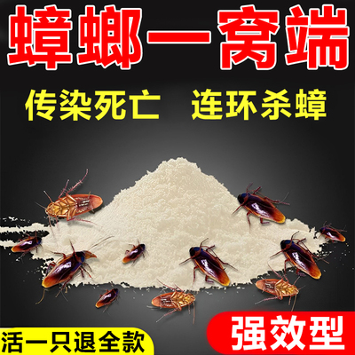 拜耳蟑螂药强效第一名无
