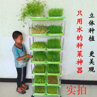 省空间室内 花盆架子种植多层菜种子阳台种菜神器盆栽无土栽培四季