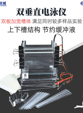 六一双垂直电泳仪DYCZ-24A实验室加宽蛋白凝胶电泳DYCZ-24B电泳槽