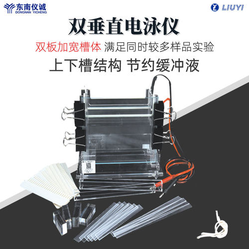 六一牌双垂直电泳仪电泳槽