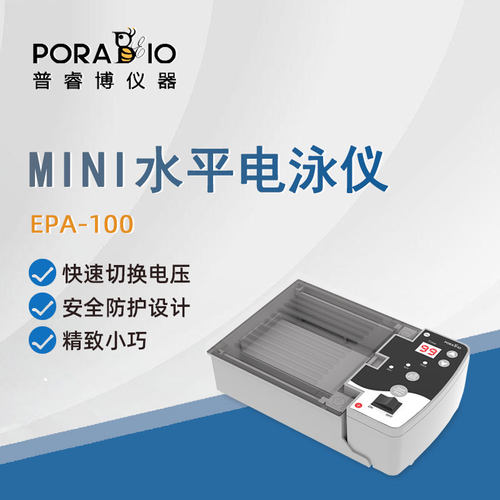普睿博一体式水平电泳仪