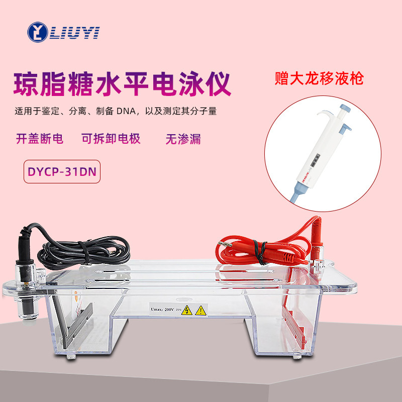 六一琼脂糖水平电泳仪dycp-31dn小号实验室dna蛋白核酸凝胶电泳槽