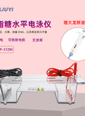 六一琼脂糖水平电泳仪DYCP-31DN小号实验室DNA蛋白核酸凝胶电泳槽